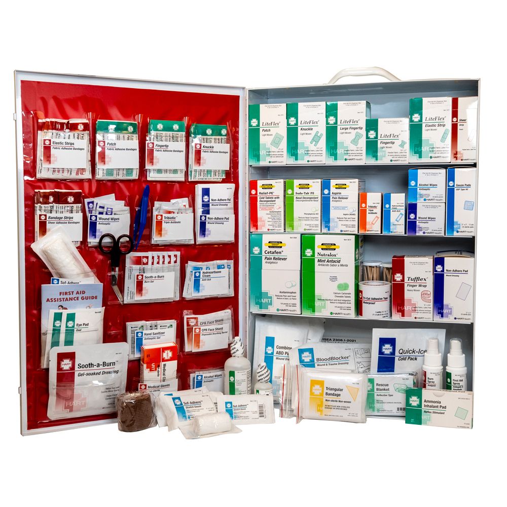 4-Shelf First Aid Station, ANSI Class A, Metal Cabinet with door pouch